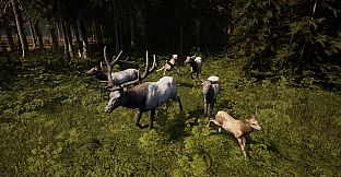 Frontier: Dark Wilds