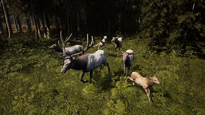 Frontier: Dark Wilds