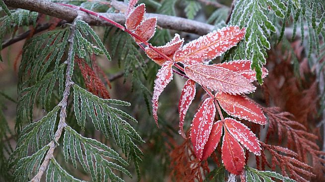 Master of Pieces Jigsaw Puzzle Winter Tale DLC