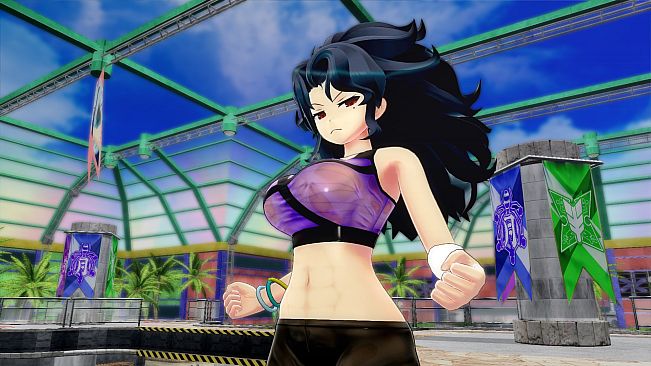 SENRAN KAGURA Peach Beach Splash - Mega Outfit Pack 2