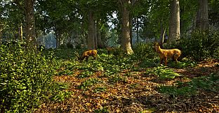 Park Ranger Simulator