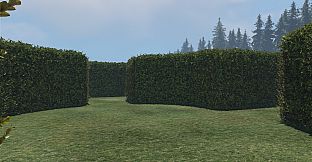 maze to the old castle