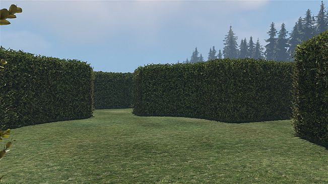 maze to the old castle