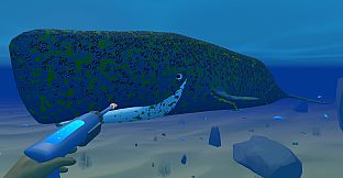 Bodian's Bay Wash