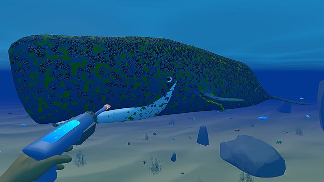 Bodian's Bay Wash