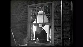 Cat Detective Albert Wilde