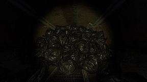 Refund Me If You Can