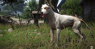 Kingdom Come: Deliverance – A Woman's Lot