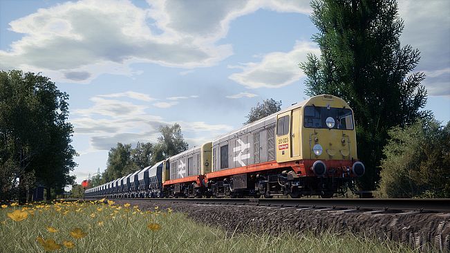 Train Sim World: BR Class 20 'Chopper' Loco Add-On - TSW2 & TSW3 compatible