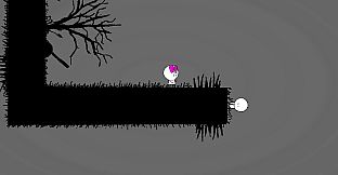 Him & Her Collection