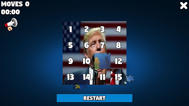 Political Puzzle