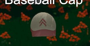 Hide and Seek - Baseball Cap