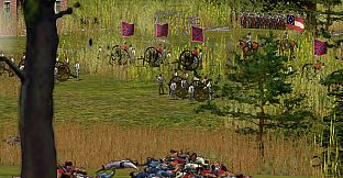 Scourge of War - Brandy Station