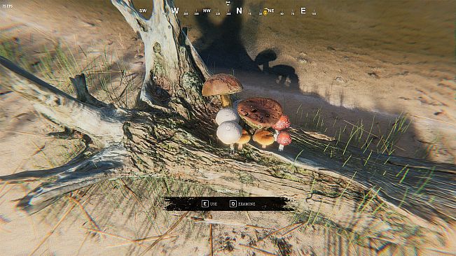 Far Beach: Desire Remains