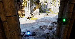 Virazh: FPV Drone Racing
