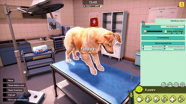 Animal Shelter 2