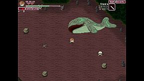 Snails Have Skeletons