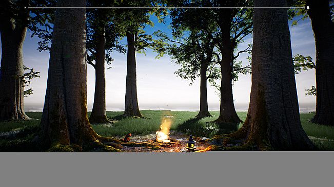 PLAYNE : The Meditation Game