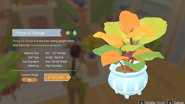 Petals and Pots: Plant Shop Simulator