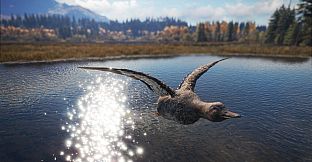 theHunter: Call of the Wild - Duck and Cover Pack