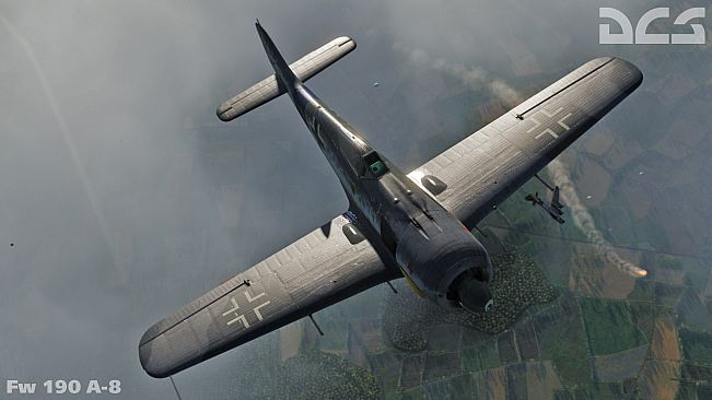 DCS: Fw 190 A-8