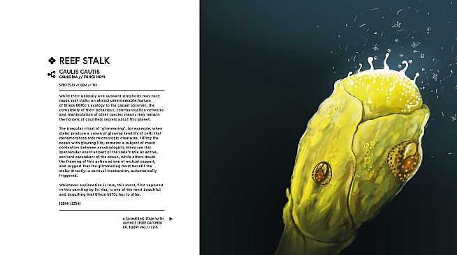 In Other Waters: A Study of Gliese 667Cc