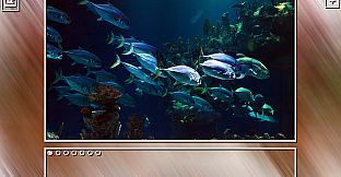 Super Jigsaw Puzzle: Generations - Sealife Puzzles