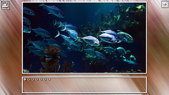 Super Jigsaw Puzzle: Generations - Sealife Puzzles