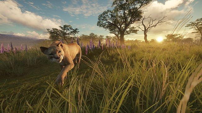 theHunter: Call of the Wild - Parque Fernando