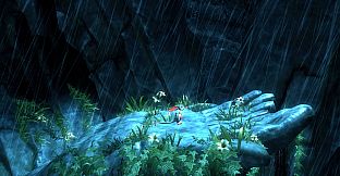 Macrotis: A Mother's Journey