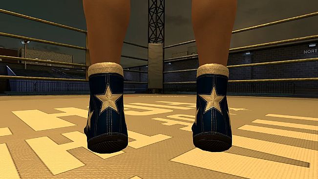 The Thrill Of The Fight 2 - 4th of July Shoes