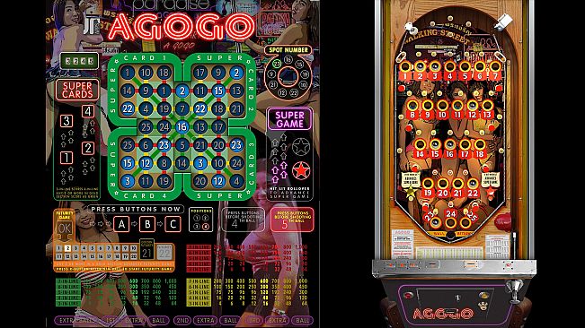 Bingo Pinball Gameroom - Agogo