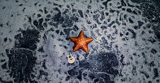 Starfish Simulator