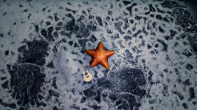 Starfish Simulator