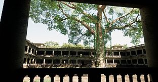 Within the Shadowed Halls