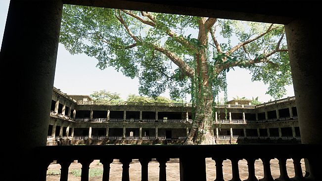 Within the Shadowed Halls