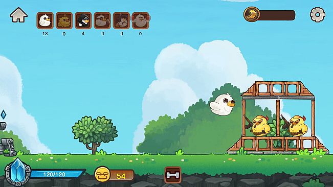 Fowl Brawl: When Chickens Fly