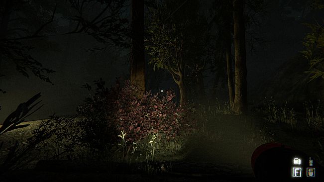 Uncanny Tales: The Watcher