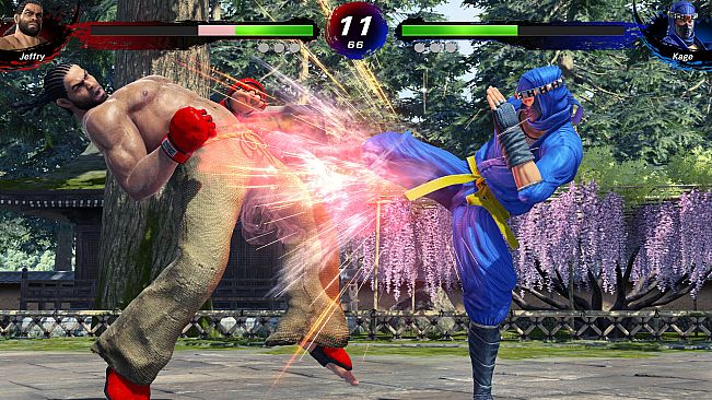 Virtua Fighter 5 R.E.V.O. World Stage - 30th Anniversary Edition