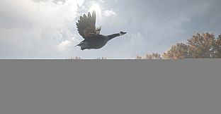 theHunter: Call of the Wild - Wild Goose Chase Gear