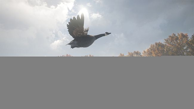 theHunter: Call of the Wild - Wild Goose Chase Gear