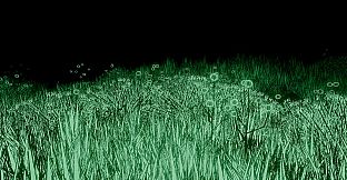 YOU ARE BEING FOLLOWED