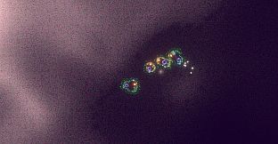 Substrate: Emergence