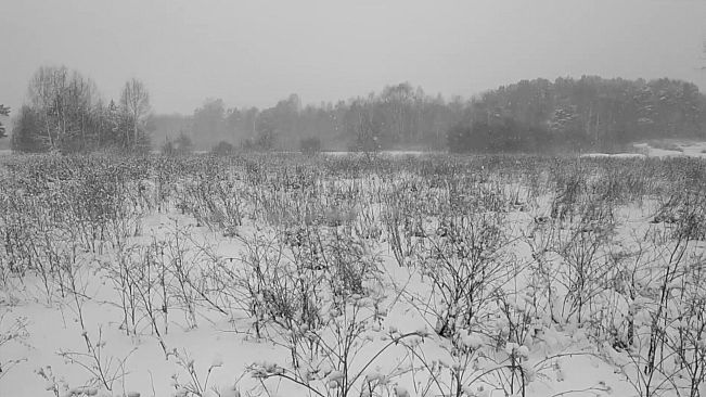 Russian Psychiatric Pastoral: Prologue