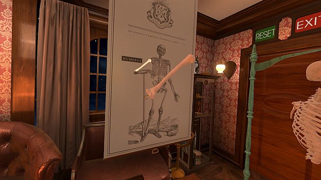 The Enlightened League of Bone Builders and the Osseous Enigma