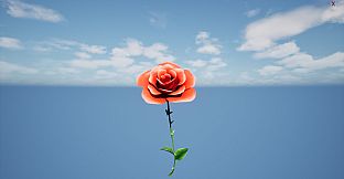 a Flower for you