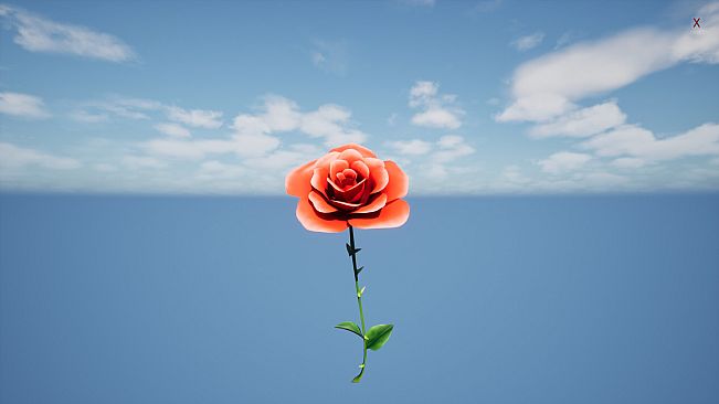 a Flower for you