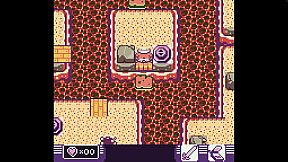 Toni Island Adventure