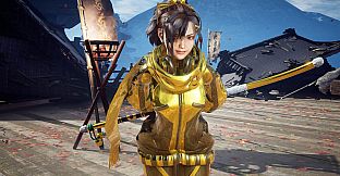 FIGHTING EX LAYER - Color Gold/Silver: Sanane