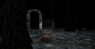 The Woods